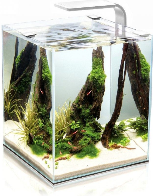 Recenze Aquael Shrimp Smart akvarijní set bílý 29 x 29 x 35 cm, 30 l