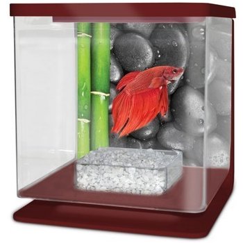 Cat-Gato Betarium Betta kit stones 2 l