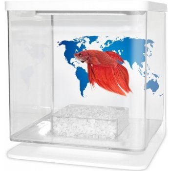 Cat-Gato Betarium Betta kit world map 2 l