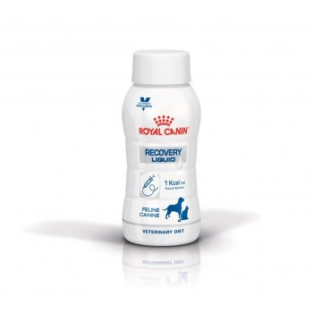 Royal Canin Veterinary Diet Dog Renal Liquid 3 x 0,2 l