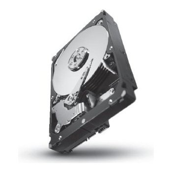 Seagate Constellation ES.2 3TB, 64MB, 7200rpm, ST33000650SS