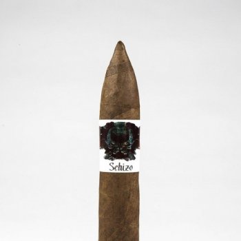 Asylum Schizo Torpedo