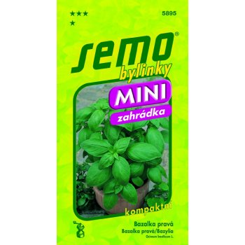 Bazalka MAMMOLO GENOVESE - kompaktní