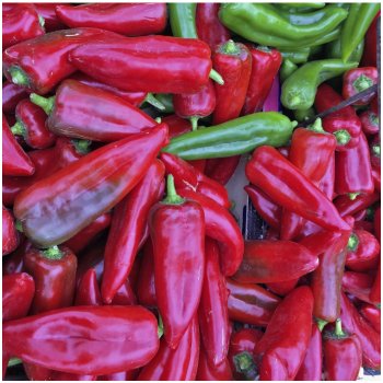 BIO Paprika Atris F1 - Capsicum annuum - bio semena papriky - 5 ks