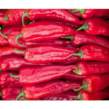 BIO Paprika Korosko - Capsicum annuum - bio semena papriky - 6 ks