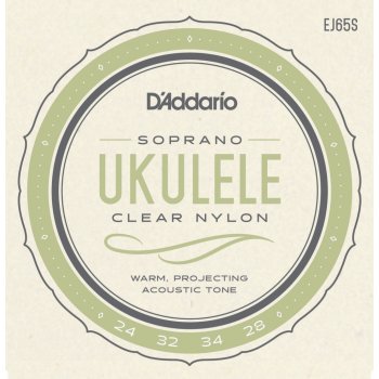 D'addario EJ65S