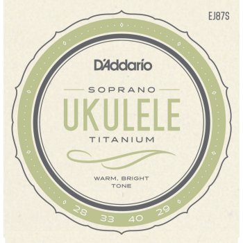 D'Addario EJ87S