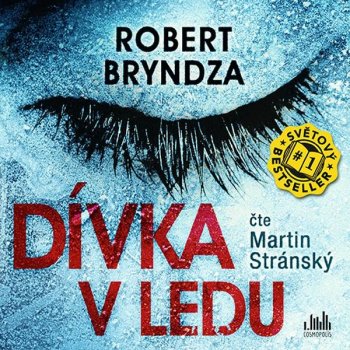 Dívka v ledu - Bryndza Robert