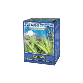 Everest Ayurveda KARAVI Allergies Tea 100 g