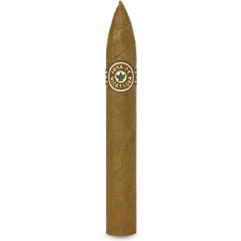 Joya de Nicaragua Clásico Torpedo