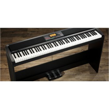 Korg XE20 SP