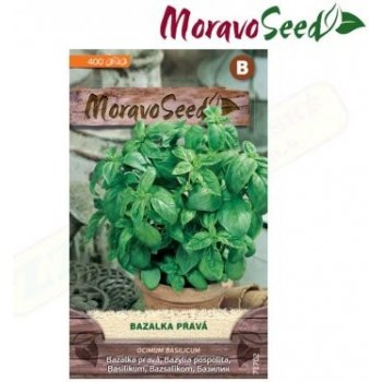 MORAVOSEED Bazalka pravá, zelená 71702