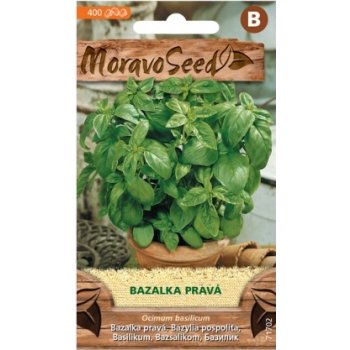 MoravoSeed Bazalka zelená/L/ =