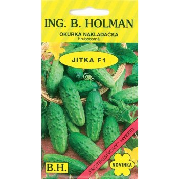 Okurka nakládačka Holman - Jitka F1 hr 2 g