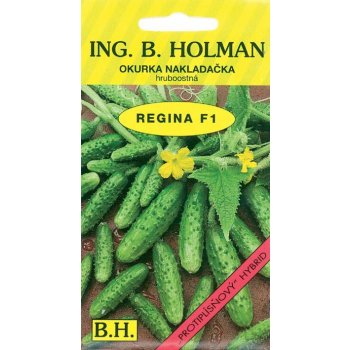 Okurka nakládačka Holman - Regina F1 hr 2 g