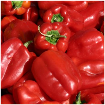 Paprika Roberta F1 - Capsicum annuum - osivo papriky - 6 ks