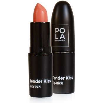 Pola Cosmetics Tender Kiss matná rtěnka 106 3,8 g