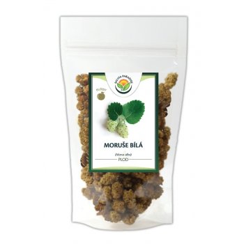 Salvia Paradise moruše bílá plody 1000 g