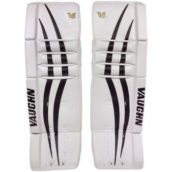 vaughn v6 vpg 1000i JR