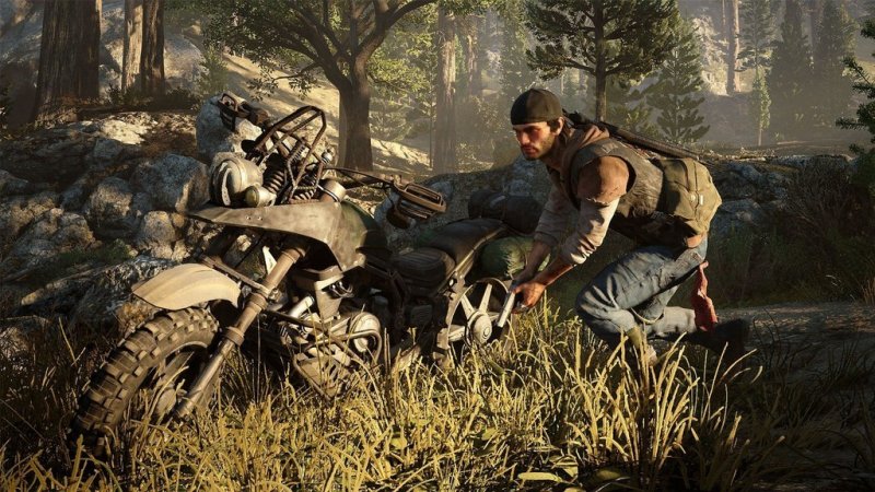 Komentáře k Days Gone