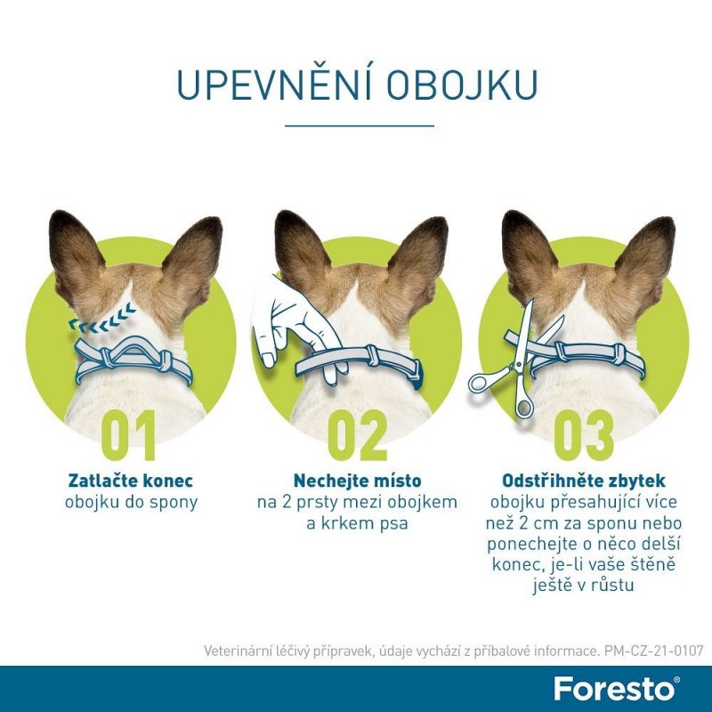 Test: Foresto obojek pro malé psy a kočky do 8 kg 38 cm