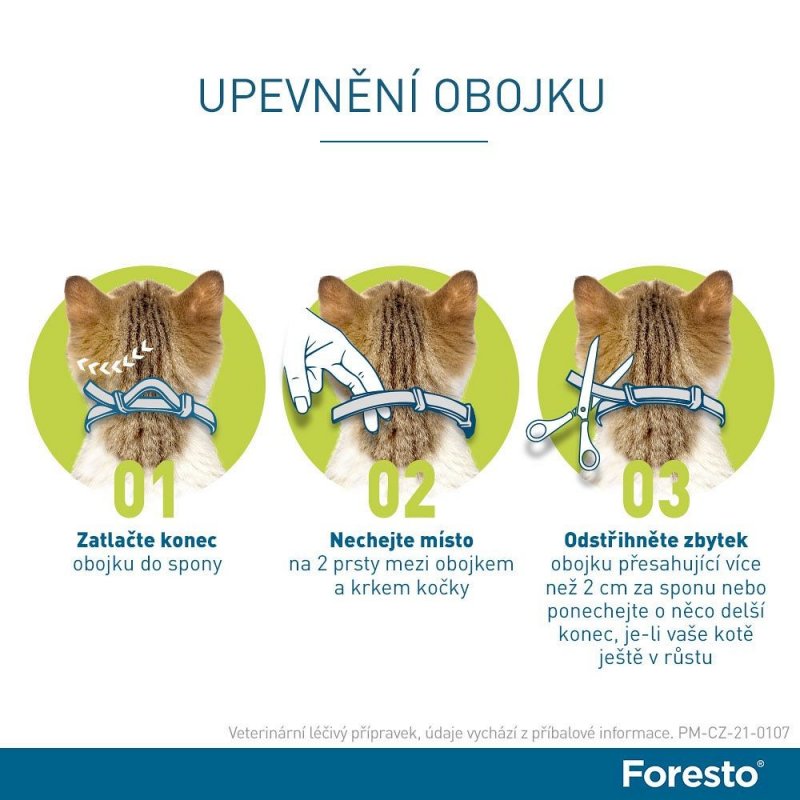 Zkušenosti s Foresto obojek pro malé psy a kočky do 8 kg 38 cm