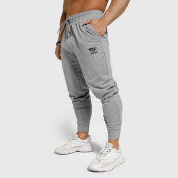 Iron Aesthetics Jogger tepláky Light šedé