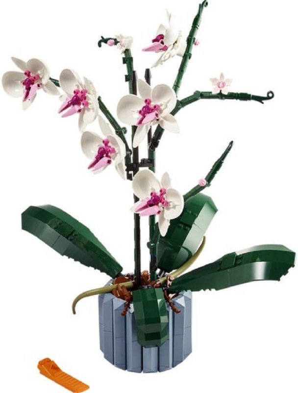 Recenze LEGO® Icons 10311 Orchidej