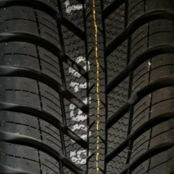 Nexen N'Blue 4Season 205/55 R16 91H