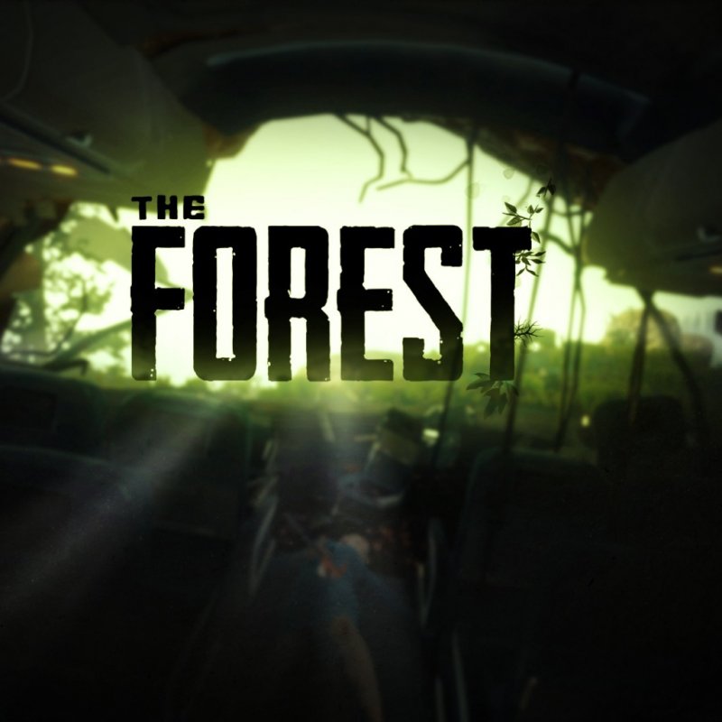 Průzkum The Forest