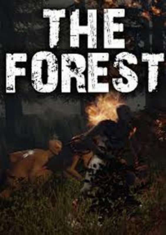 Poznámky k The Forest
