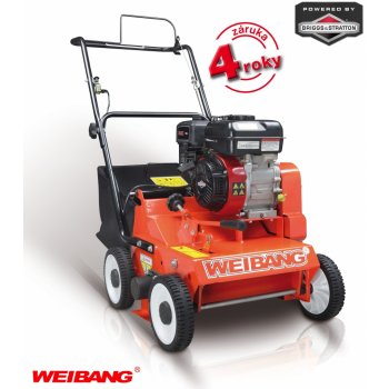 Weibang WB 384 RC