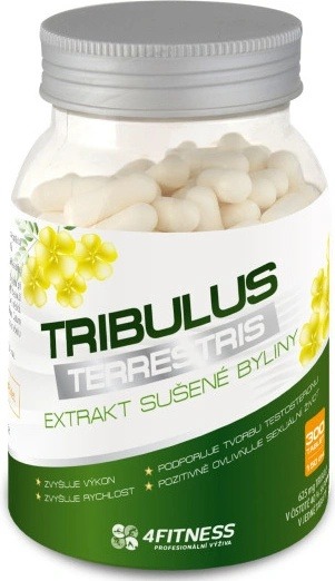 Recenze 4fitness Tribulus terrestris 300 kapslí