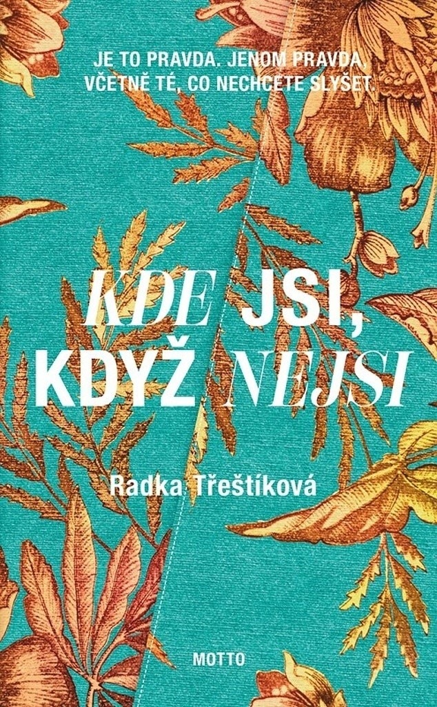 Recenze Kde jsi, když nejsi - Radka Třeštíková