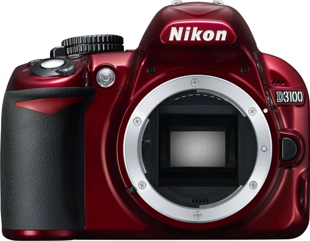 Recenze Nikon D3100