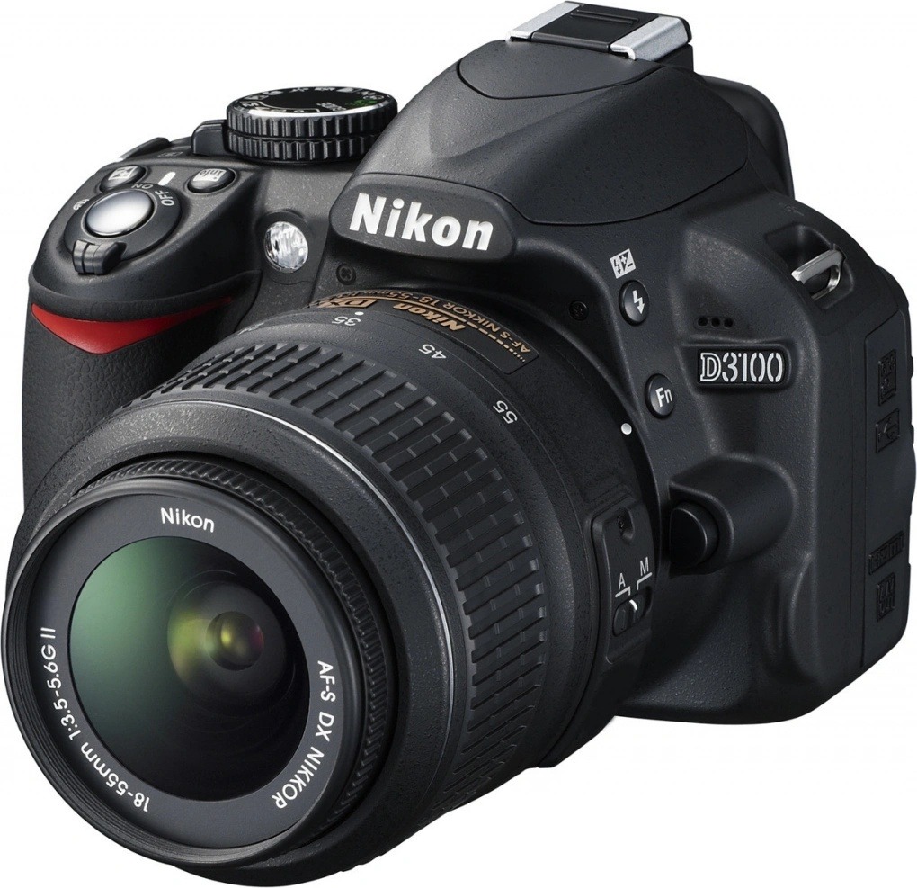  Nikon D3100