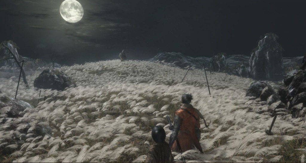 Pozorování Sekiro Shadows Die Twice