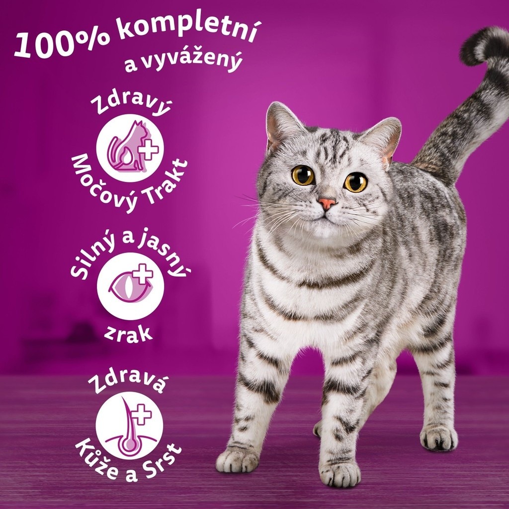 Test: Whiskas Adult hovězí 14 kg